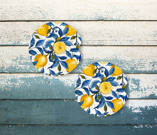 Zest & Bloom Car Coaster Set